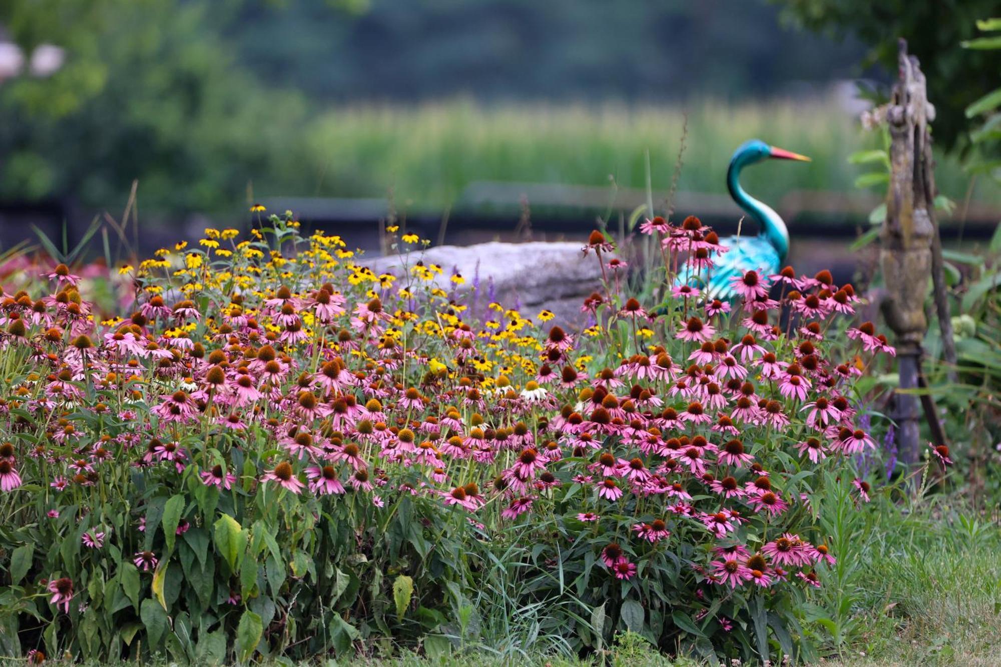 קרלייל Pheasant Field Bed And Breakfast מראה חיצוני תמונה